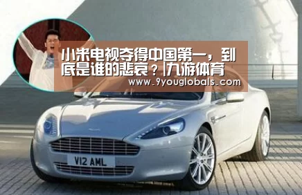 小米电视夺得中国第一,到底是谁的悲哀?|九游体育(图2) 九游体育
