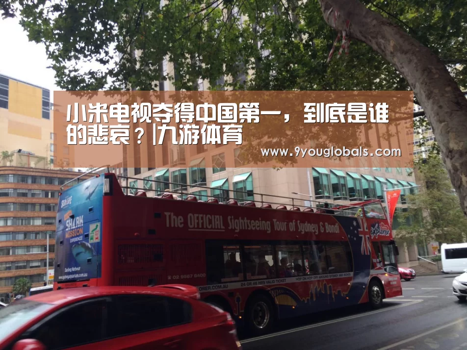小米电视夺得中国第一,到底是谁的悲哀?|九游体育(图4) 九游体育