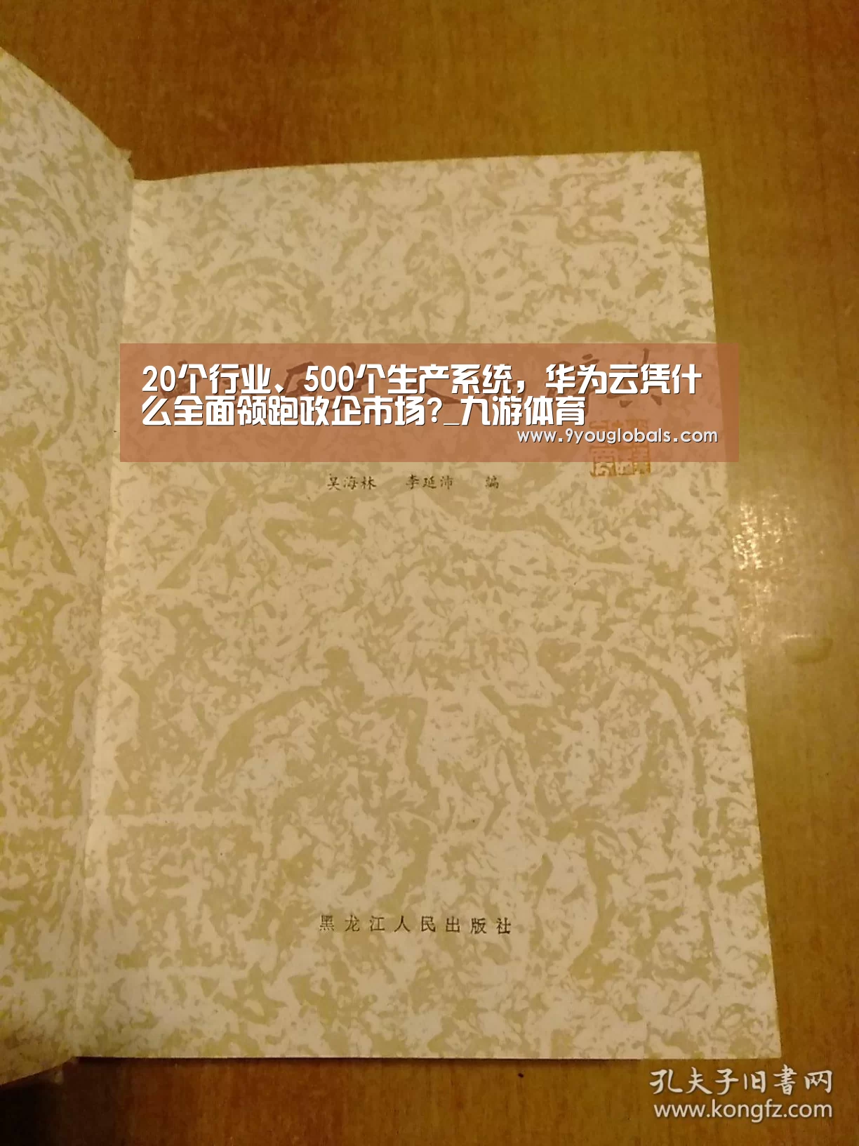 20个行业、500个生产系统,华为云凭什么全面领跑政企市场?_九游体育(图4) 九游体育