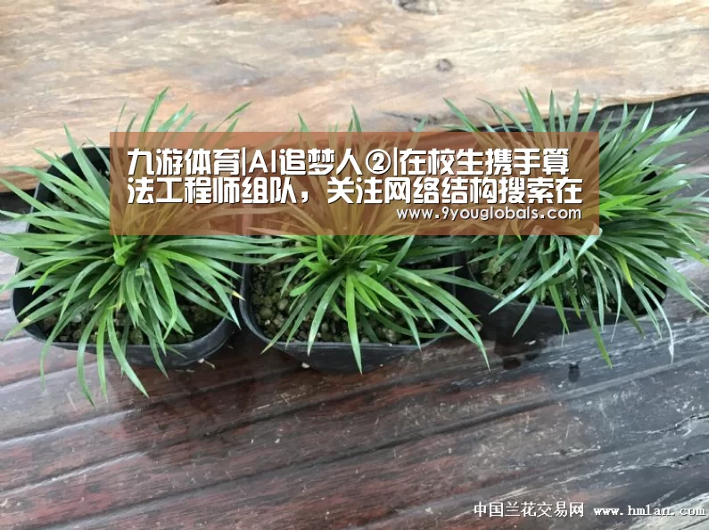 九游体育|AI追梦人②|在校生携手算法工程师组队,关注网络结构搜索在AI+4K领域创新(图2) 九游体育