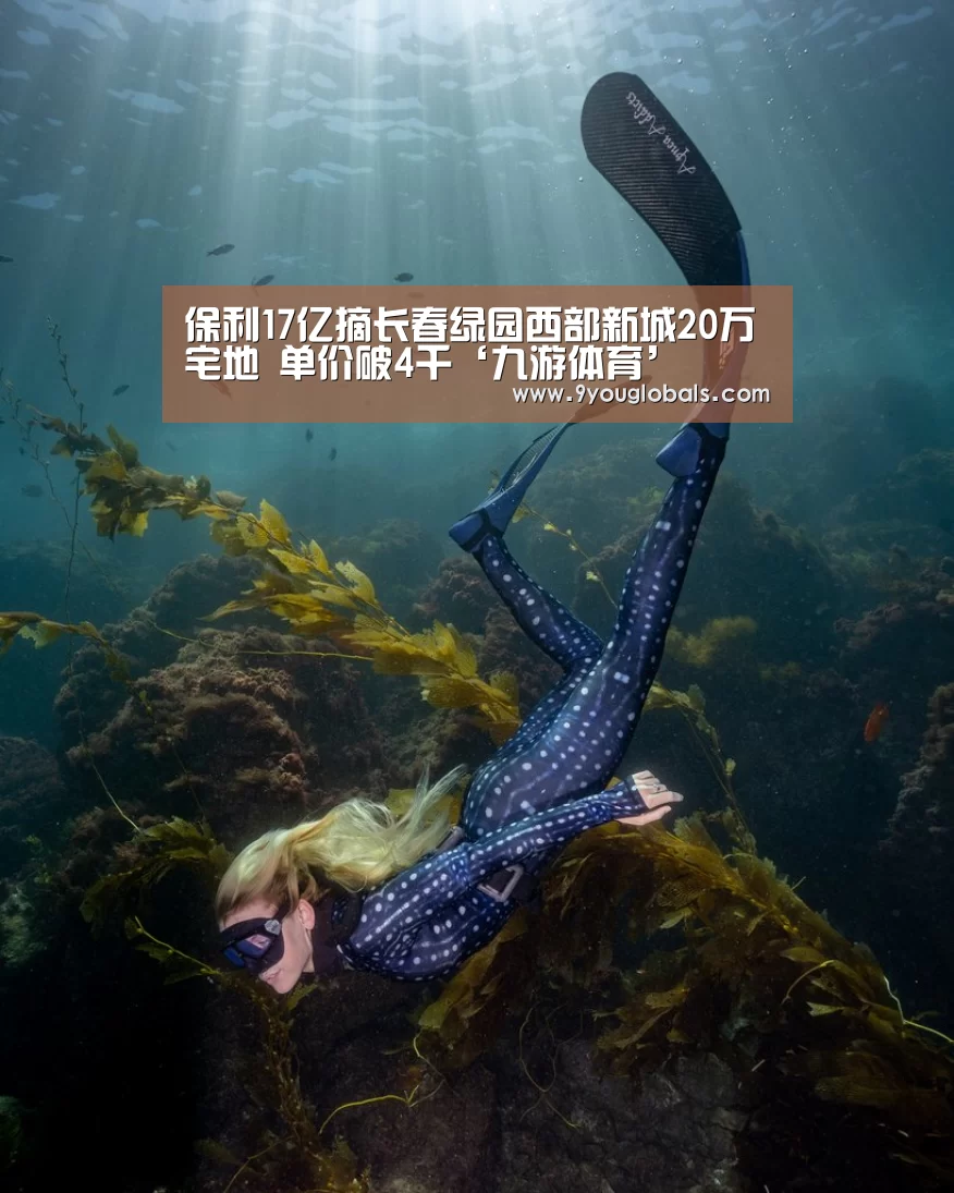 保利17亿摘长春绿园西部新城20万㎡宅地 单价破4千‘九游体育’(图4) 九游体育