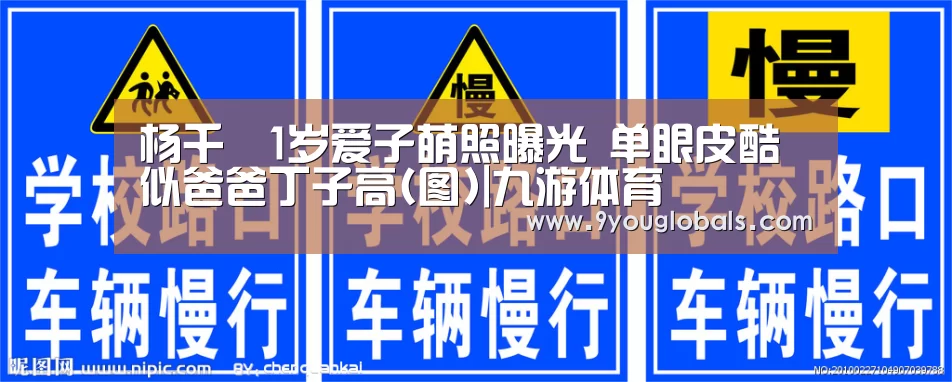 杨千嬅1岁爱子萌照曝光 单眼皮酷似爸爸丁子高(图)|九游体育(图1) 九游体育