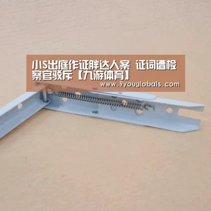 小S出庭作证胖达人案 证词遭检察官驳斥【九游体育】(图1) 九游体育