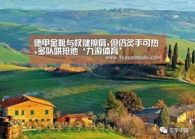 德甲金靴与权健擦肩,但仍炙手可热,多队哄抢他‘九游体育’(图2) 九游体育