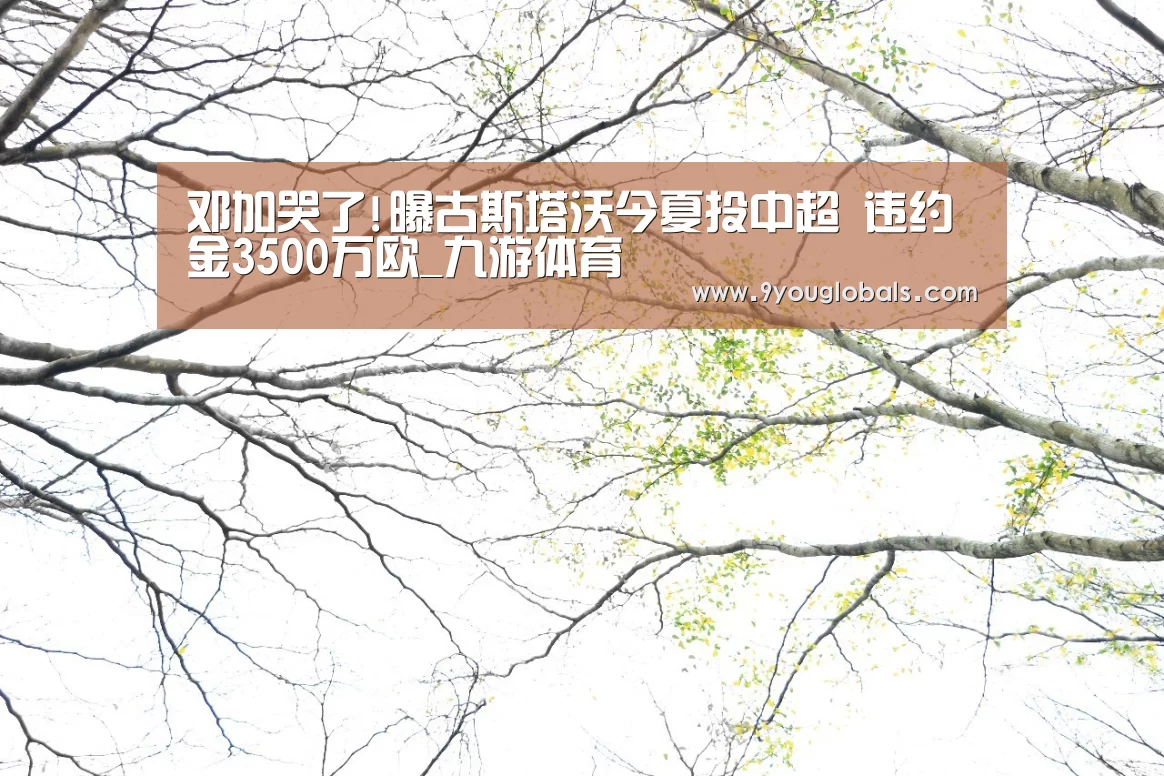 邓加哭了!曝古斯塔沃今夏投中超 违约金3500万欧_九游体育(图1) 九游体育