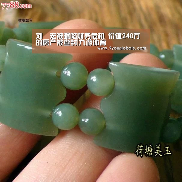 刘畊宏被曝陷财务危机 价值240万的房产被查封|九游体育(图3) 九游体育