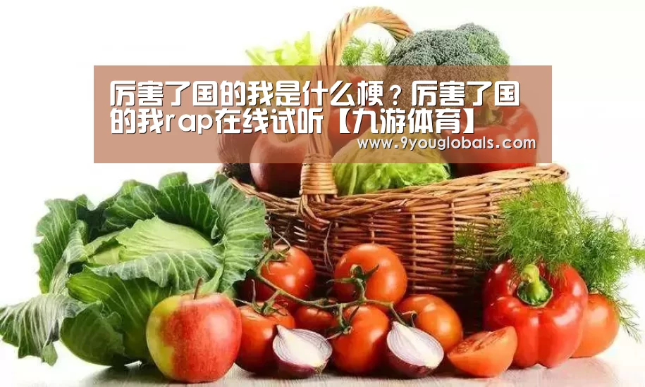 厉害了国的我是什么梗?厉害了国的我rap在线试听【九游体育】(图3) 九游体育