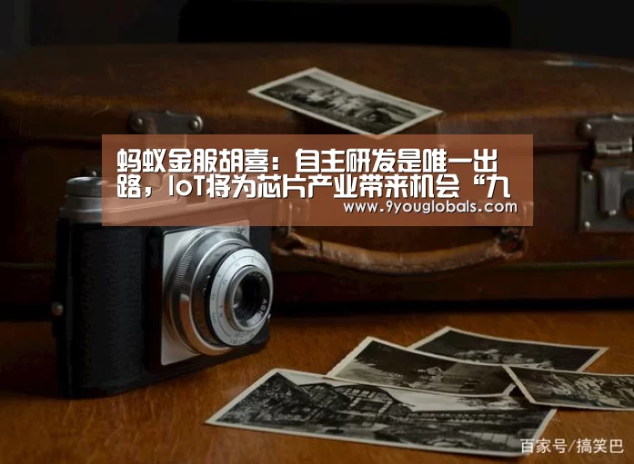 蚂蚁金服胡喜:自主研发是唯一出路,IoT将为芯片产业带来机会“九游体育”(图1) 九游体育