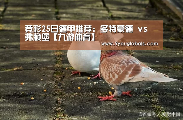 竞彩25日德甲推荐:多特蒙德 vs 弗赖堡【九游体育】(图1) 九游体育