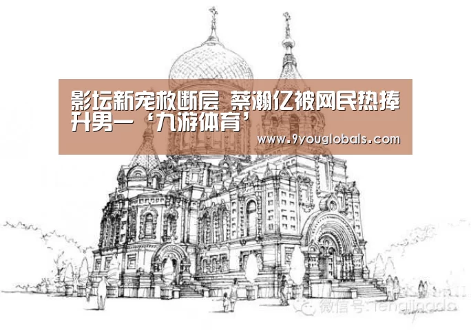 影坛新宠救断层 蔡瀚亿被网民热捧升男一‘九游体育’(图1) 九游体育